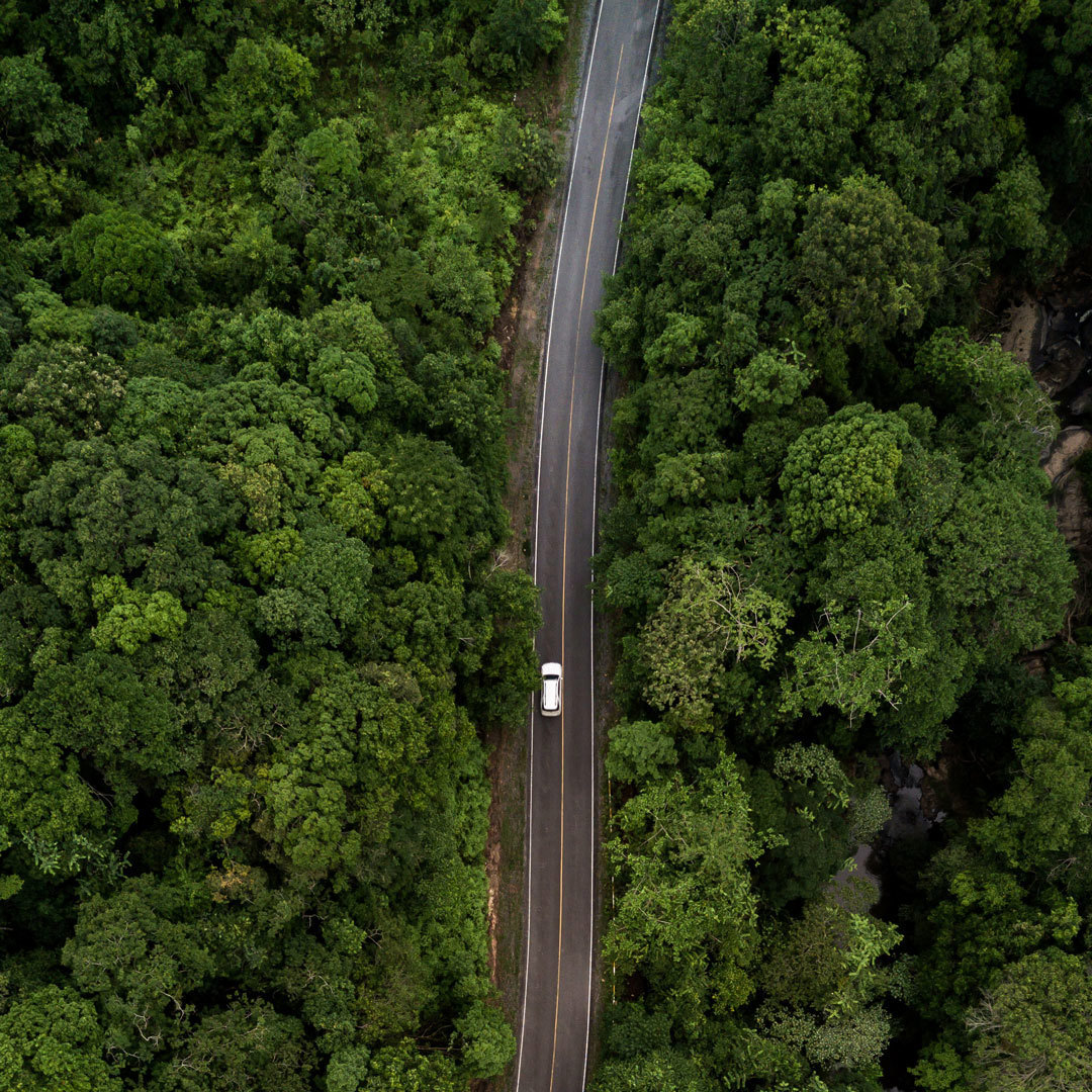 Aerial View of Car Driving Along Winding Road Through Dense Forest
